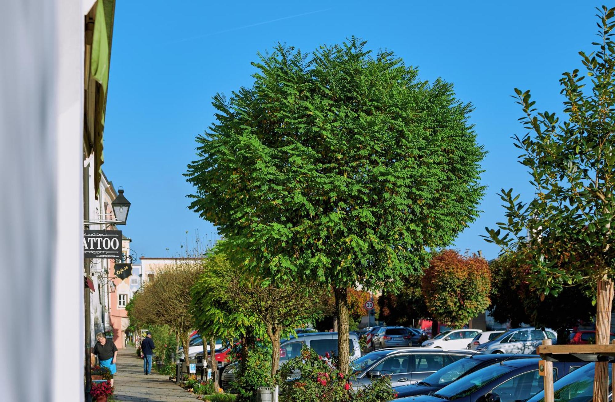 Ferienwohnung Tittmoning Zwischen Salzburg, Burghausen Und Oesterreich 外观 照片